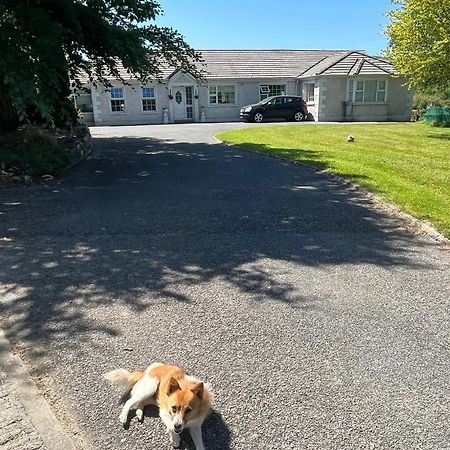 Graiguenamanagh Homestay Екстериор снимка