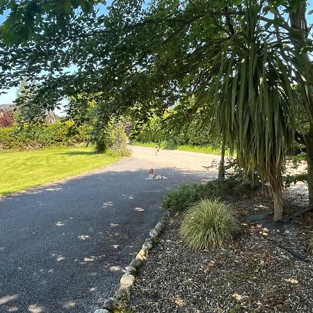 Graiguenamanagh Homestay Екстериор снимка