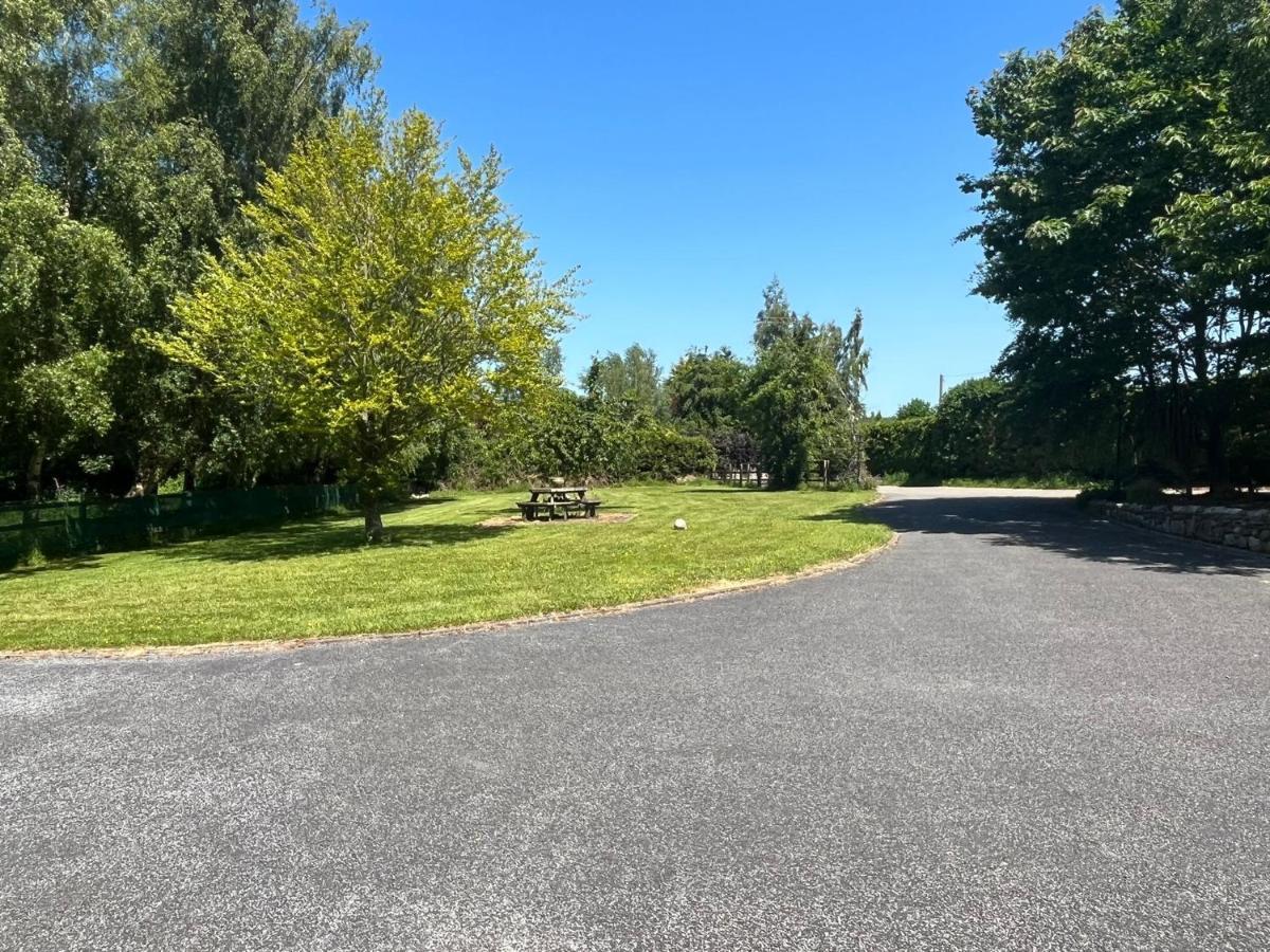 Graiguenamanagh Homestay Екстериор снимка