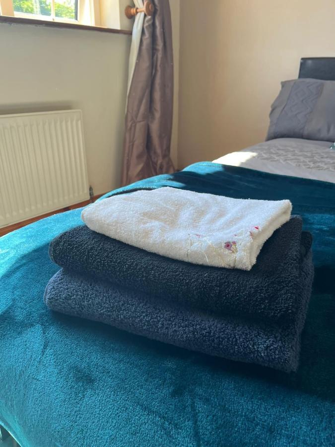 Graiguenamanagh Homestay Екстериор снимка